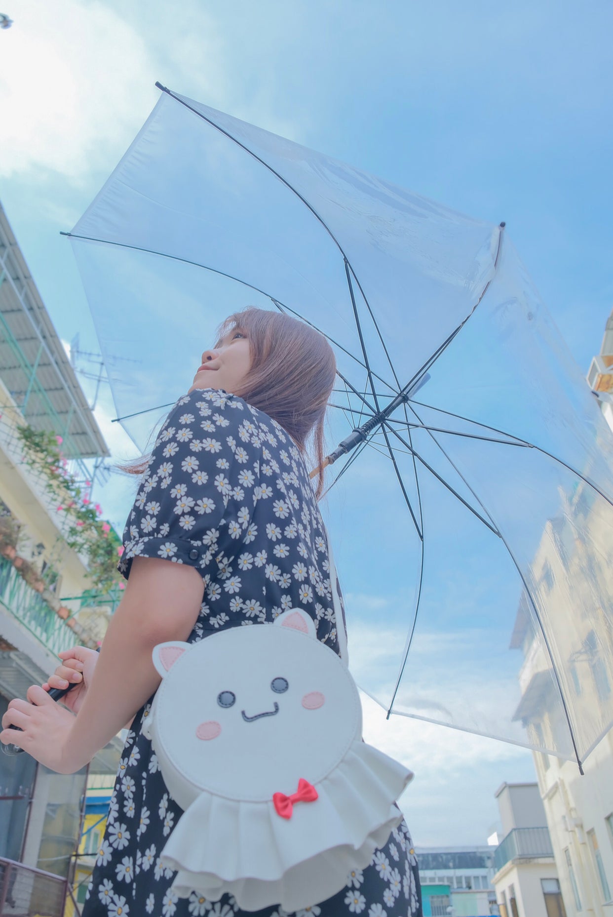 Sunny Cat | White