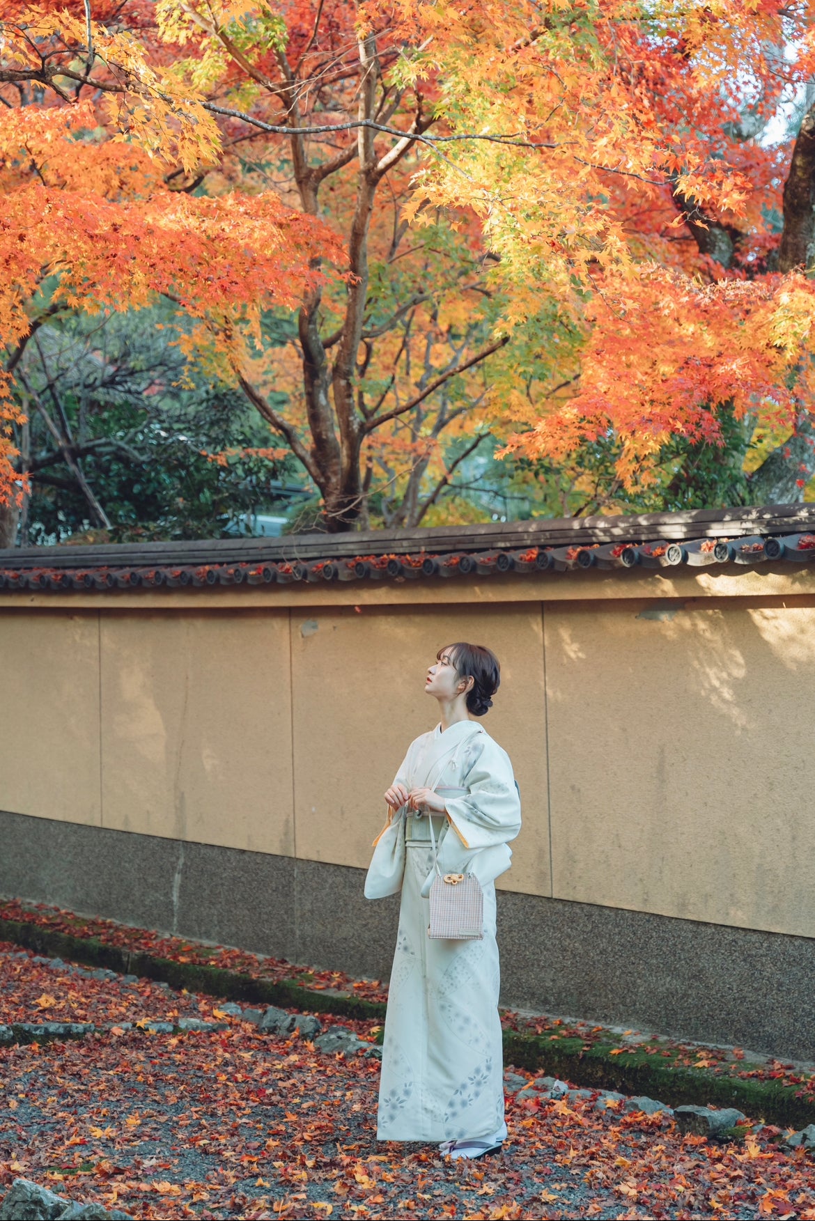 Sun in Winter - Omamori Cloth Bag